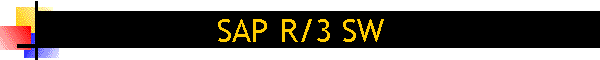 SAP R/3 SW