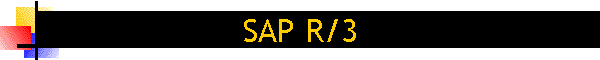 SAP R/3